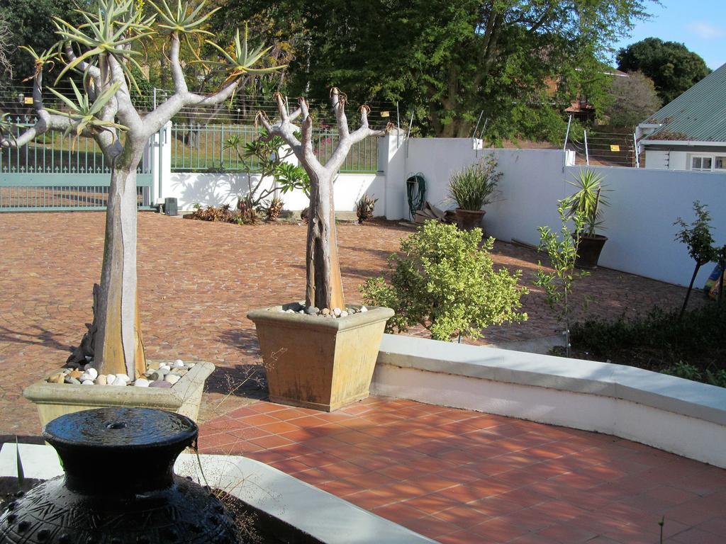Luxury Secure Flat Apartment Plattekloof Bagian luar foto